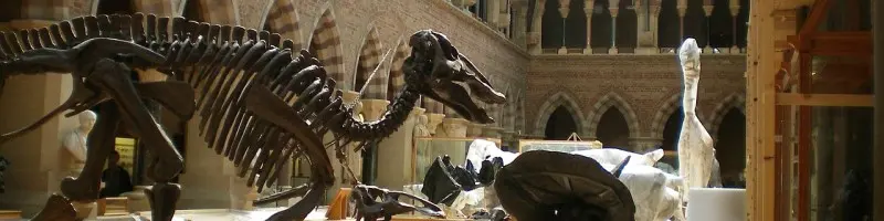 Oxford's dreaming spires and historic university college architecture